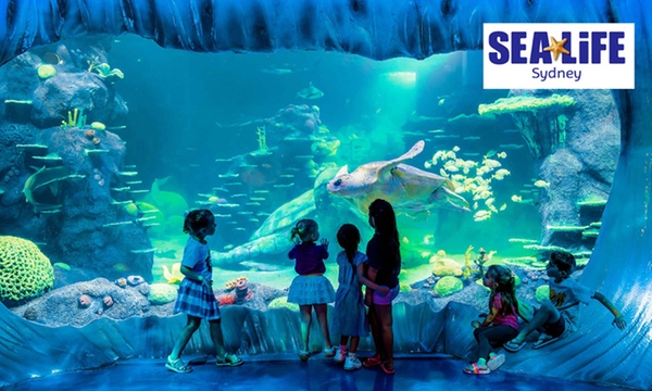 Aussie Holiday Activities