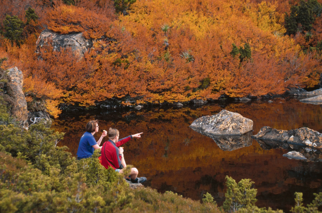 Mount Field National Park (Tasmania)