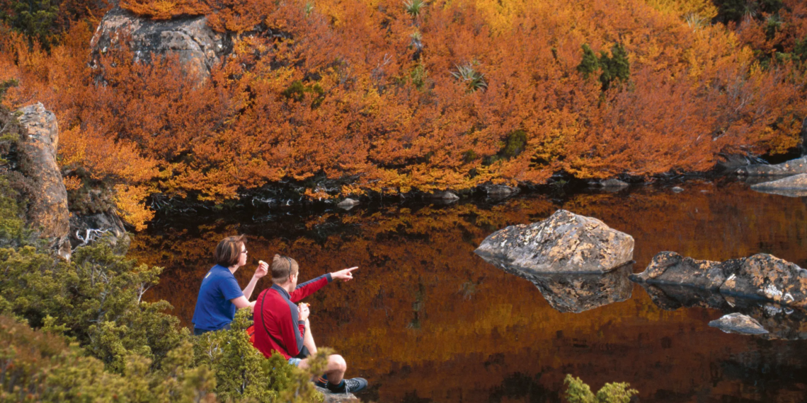 Mount Field National Park (Tasmania)