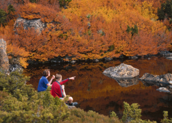 Mount Field National Park (Tasmania)