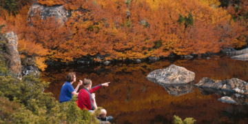 Mount Field National Park (Tasmania)